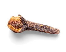 Cuișoare