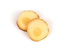 Galangal
