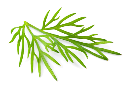 Mărar