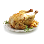 Pasăre