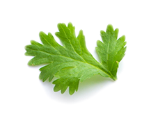 Pătrunjel