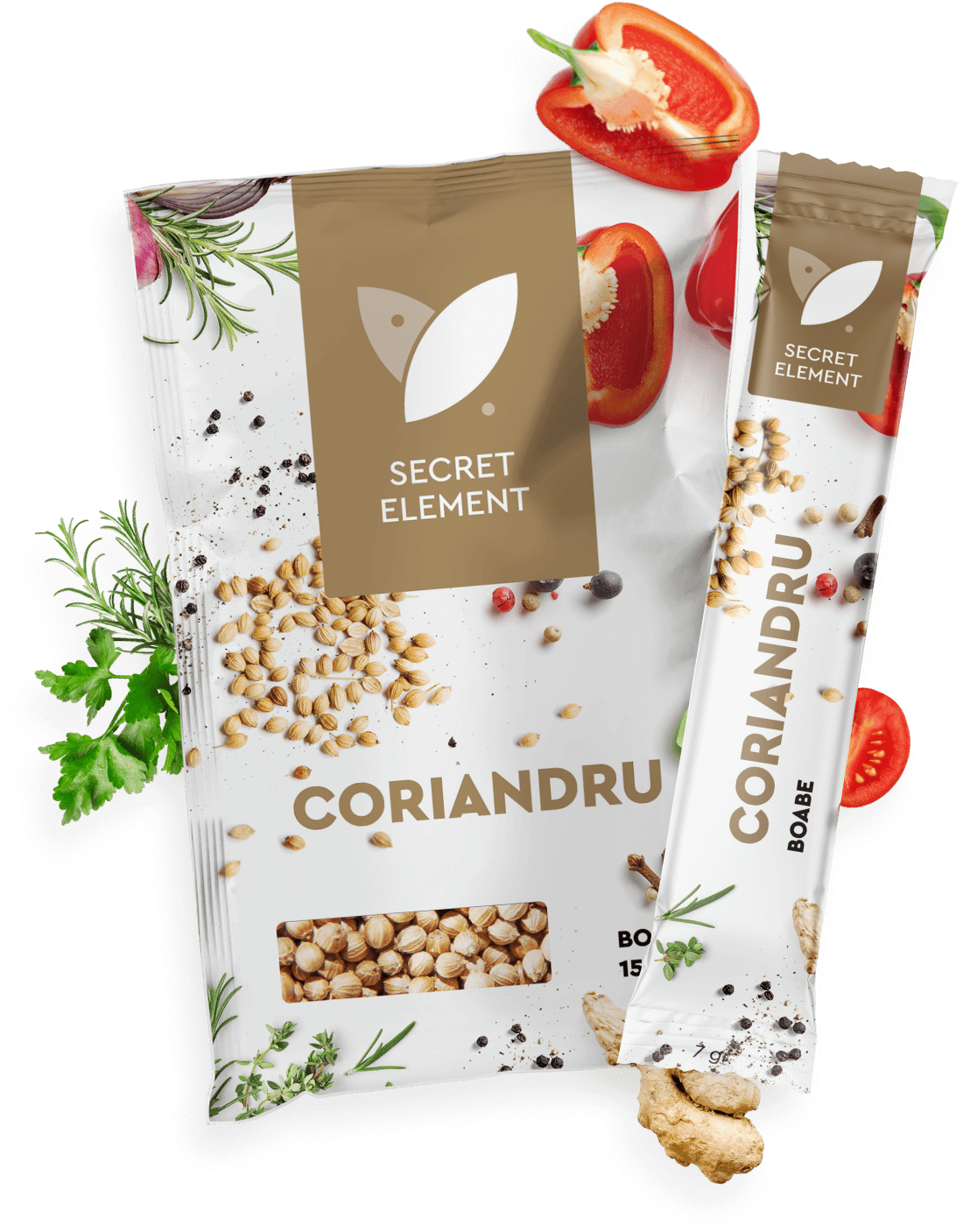 CORIANDRU
