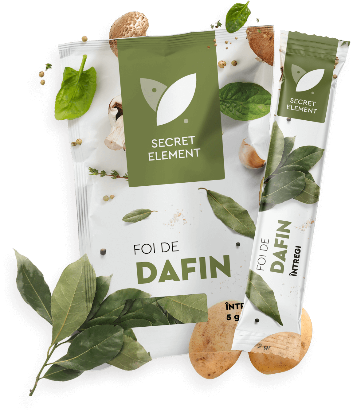 FOI DE DAFIN